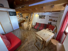 Studio cosy pour 2 pers à 300m des pistes, St Martin de Belleville - 19m², animaux admis - FR-1-452-141